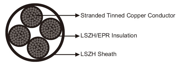 Click to view the big picture